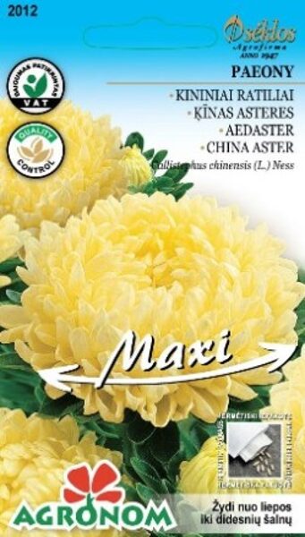 Ķīnas Asteres PAEONY