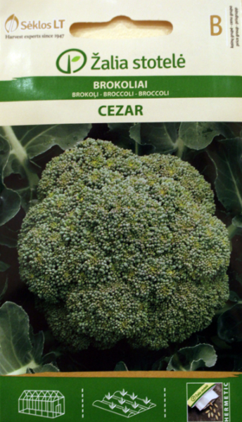 Brokoļi CEZAR 1g