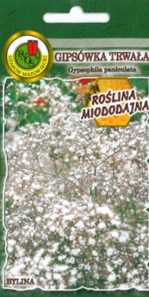Ģipsene skarainā balta