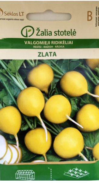 Redīsi ZLATA 5g