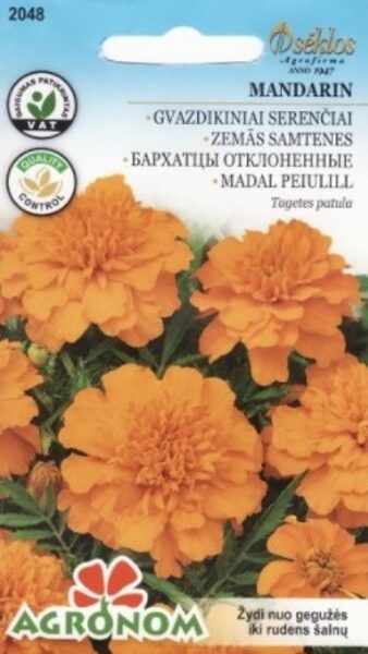 Zemās Samtenes MANDARIN