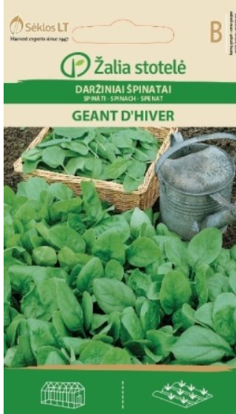 Spināti GEANT D'HIVER 3g